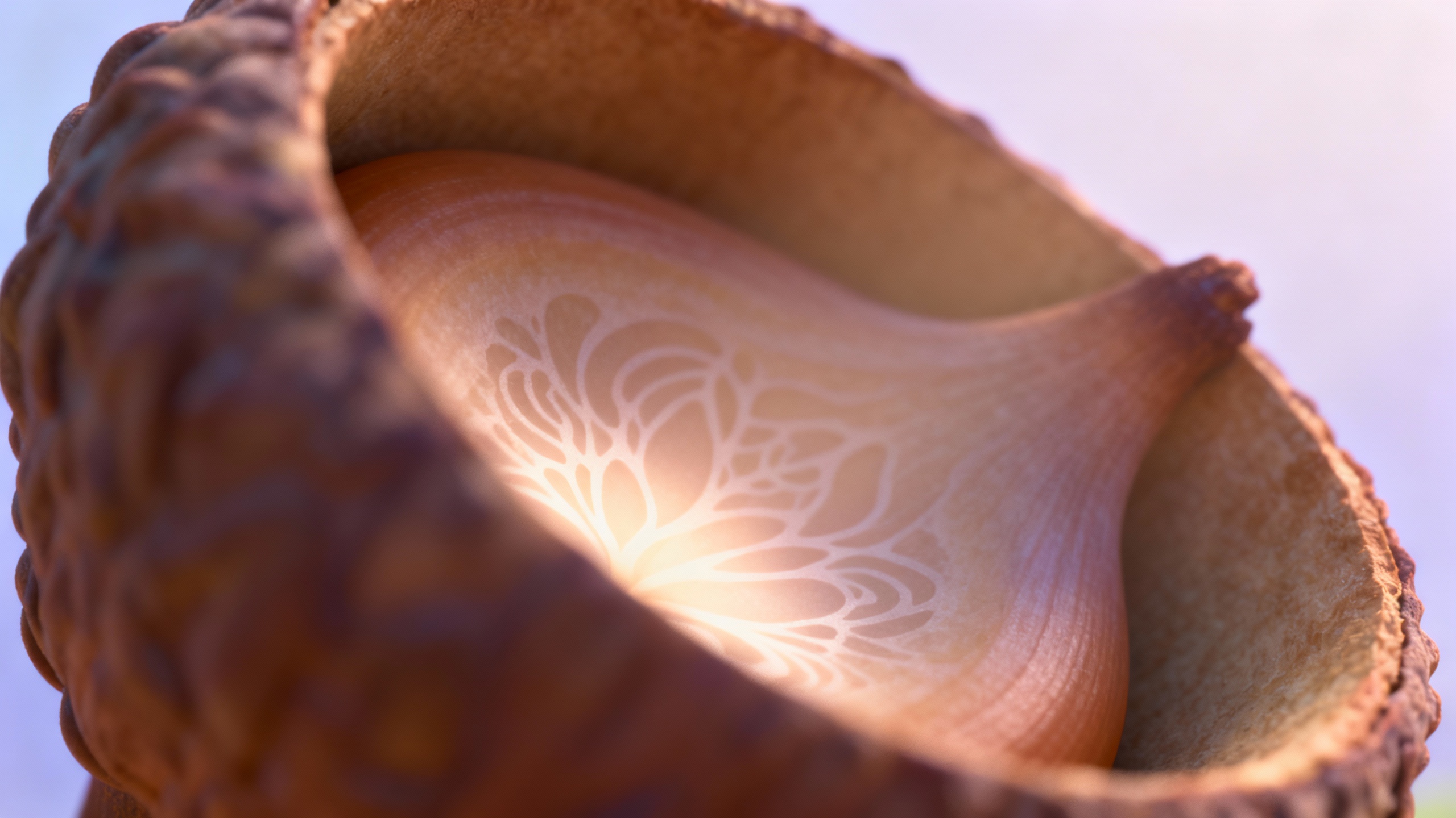 The Acorn's Destiny